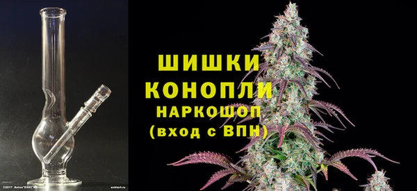 сатива Няндома