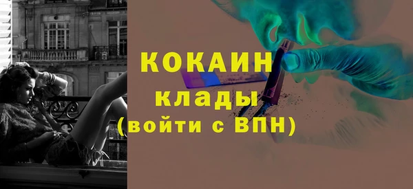 гидра Осинники