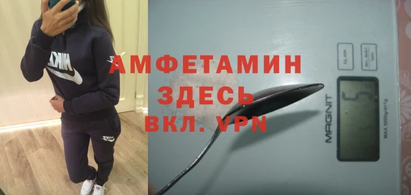 сатива Няндома