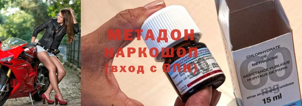 сатива Няндома