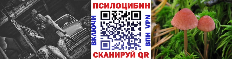 Псилоцибиновые грибы Cubensis  Полярные Зори 
